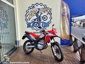 HONDA XRE 300 RALLY - Foto 1