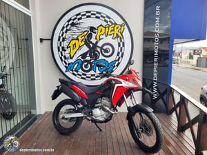 HONDA XRE 300 RALLY ABS - Foto 1