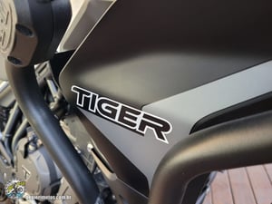 TRIUMPH TIGER 900 RALLY - Foto 7